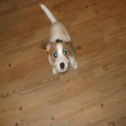 Random074's profile picture. 