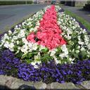 Mark Reed - @MarkJasonReed - Twitter