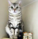 蓑虫屋＠競馬専門古書店