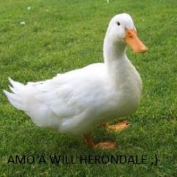 El pato que sobrevivió, amo a Will Herondale y Jace Wayland, mis mejores amigos: Iglesia y Presi Miau. FAKEEE!