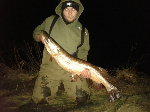 Danny3842Mason's profile picture. 