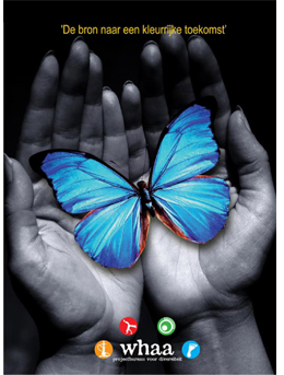 FestivalDeOase's profile picture. 