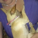 Amanda deVries - @AmandaDevries08 - Twitter