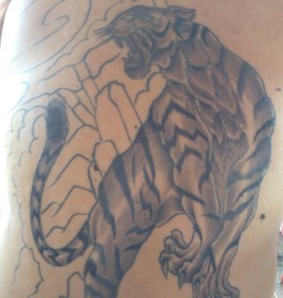 HubSai's profile picture. 