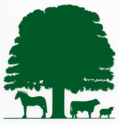 KINGTON SHOW, The Ovals Farm, Kington, Herefordshire HR5 3LN Saturday 14th September, 2024. A great one day country show for the whole family!