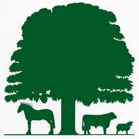 Kington Show (@kingtonshow) 's Twitter Profile