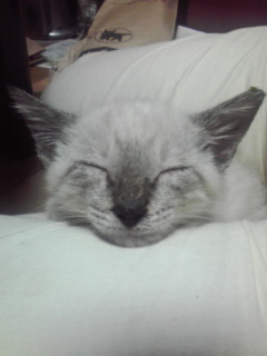 10135hiro's profile picture. ライヴと酒を楽しむおっちゃん。
仲間と一緒なら尚最高😆
酒部部員No.?  
響き屋奔町(休止中)・元残月ノ刃・新恋史塾(旧梅下村塾)塾生＆SHKローラン＆奏手候、亜寡町(あかまち)組合組合員🤣
「ゆっくりのんびりマイペース」