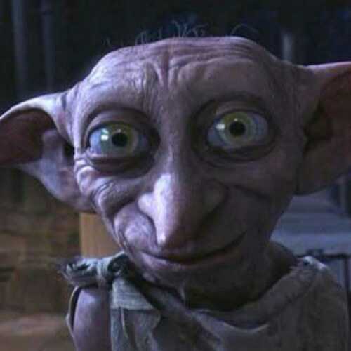 ThedobbyElf's profile picture. I am dobby the elf everyone at the.school are my freinds RP