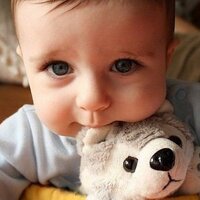 ä( •ω•ฅ）.｡.:*♡ (@suuuuukis1) 's Twitter Profile