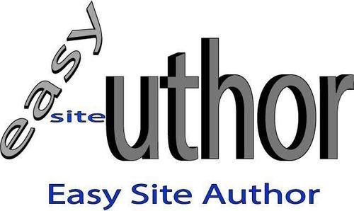 Need a Professional Website? Check us out! We also do custom designs as well!