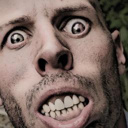 I love The Walking Dead!