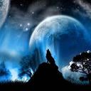 Luis castrillon - @2gluissao - Twitter