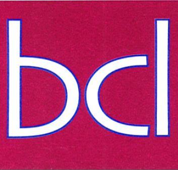 Brean Consulting Limited - Database and Datawarehouse Design Consultancy