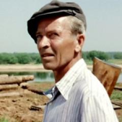 Некоторые люди кардинально отличаются от собак: ничего не понимают, но говорят обо всём.