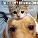 Bailey Helms - @HelmsBailey - Twitter