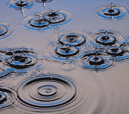 oman8877's profile picture. خليجيه وحبك ياعمان استوطن القلب