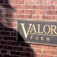 Valor Farm (@valorfarm) 's Twitter Profile