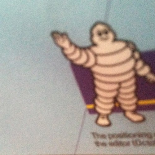 DandelionTrivia's profile picture. 