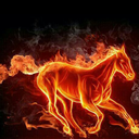 ابو لمئ (@053365714) Twitter