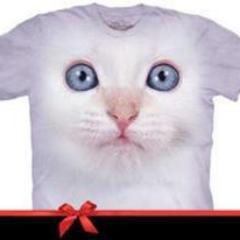 TomDaKitty's profile picture. 