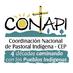 CONAPI - CEP (@conapipy) Twitter profile photo