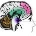 Susanne Schmid (@neuro_suse) Twitter profile photo Susanne Schmid (@neuro_suse) Twitter profile photo