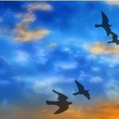 Sejam bem vindos ao twitter de bem com a vida! aqui terá frases especiais e bonitas para você estar sempre de bem com a vida!