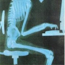 anatomitech's profile picture. Anatomy and Physiology Prof, Writer, Thinker, Learner, Geek