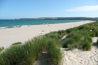 StudlandDunes's profile picture. Half #nudist and half normal beach, #Studland is one of #Dorset's most beautiful places - You can win a #Quadzilla Road Legal #QuadBike - see our profile Link