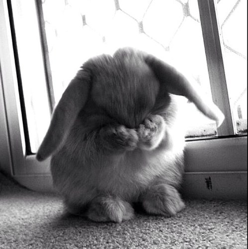 I have always been one of those people who do everything wrong❕