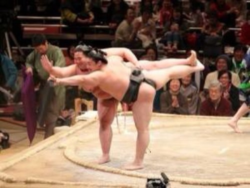 kenji_nanpa's profile picture. ただの酔っ払いです!