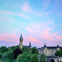 frefred34's profile picture. 