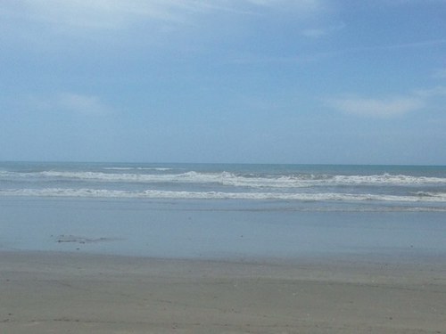 mnmbchlvrs's profile picture. 