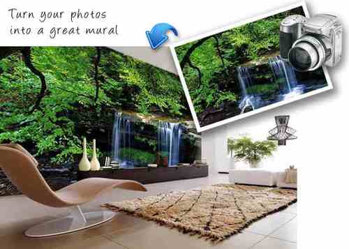 FeatureWalls5's profile picture. Transform the look of your home with our super high quality photographic wallpaper...Delivery through out the northeast...