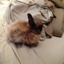 Jan Broda - @ArjmjJan - Twitter