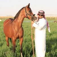 Thamer Amer (@_tham3r) 's Twitter Profile