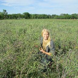 FruitionSeeds's profile picture. Founder, farmer of Fruition Seeds.   Growing and providing organic regionally adapted seed in the Northeast for the Northeast