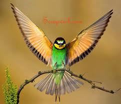 Reggykam's profile picture. 