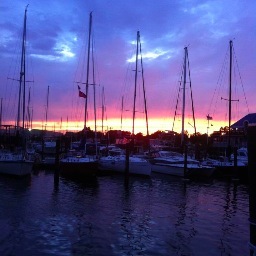 viningsva's profile picture. Helpful & interesting reads on boating and marina life as seen by VMG in Norfolk, VA.