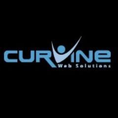 Curvine Web Solutions - Web site design for small to medium sized businesses in the Bellevue/Seattle, WA area.