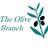 OliveBranchBD's profile image