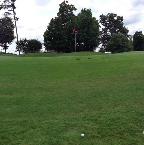 golffootballguy's profile picture. 