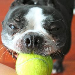 Namm3r's profile picture. Brand and Marketing during the Day, PT Foodie and 24/7 DAD that's obsessed with nostalgia from the 80's and 90's