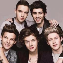 Follow Me and i follow bak ;) 
Btw this account is only for directioner.!