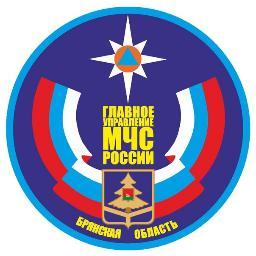 mchsbryansk's profile picture. 