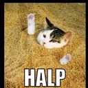 Tanner lancaster - @Tanner15549 - Twitter