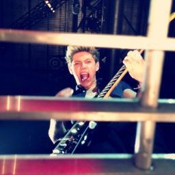 Im Niall, im in one direction. i sing and play an instrument with 6 strings on it !