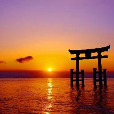 茅田砂胡 Twitter Search Twitter