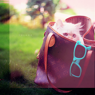 Jooody241Njood's profile picture. إن لَم تَحصُل عَلى مَا أرَدت يَوماً فَلا تَقل مِن سُوء حَظي.. بَل قُل الحمدُ للّه لعل اللّه أرَاد لِي الأفضَل♡