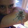 ElMiguinho's profile picture. Arachnophile, oenophile.